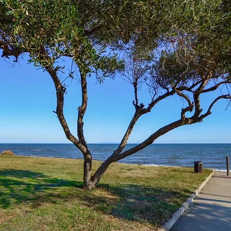 Beautiful In With Wifi *