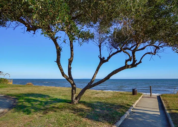 Beautiful In With Wifi *